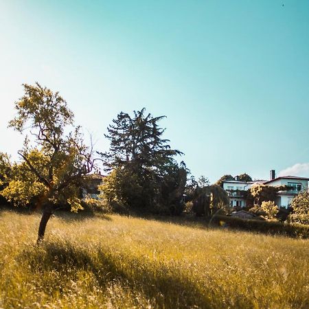 Bed & Breakfast Unter Den Linden Hungen Exterior foto